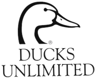 Ducks