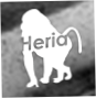 Chris Heria