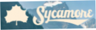 Sycamore