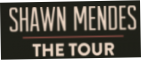Shawn Mendes