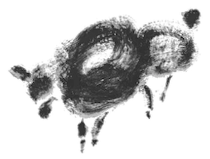Cotton Sheep