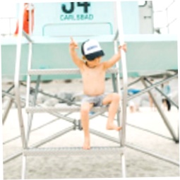 Tiny Trucker Co