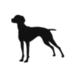 Rusty Dog Coffee
