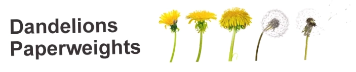 Dandelion Paperweights