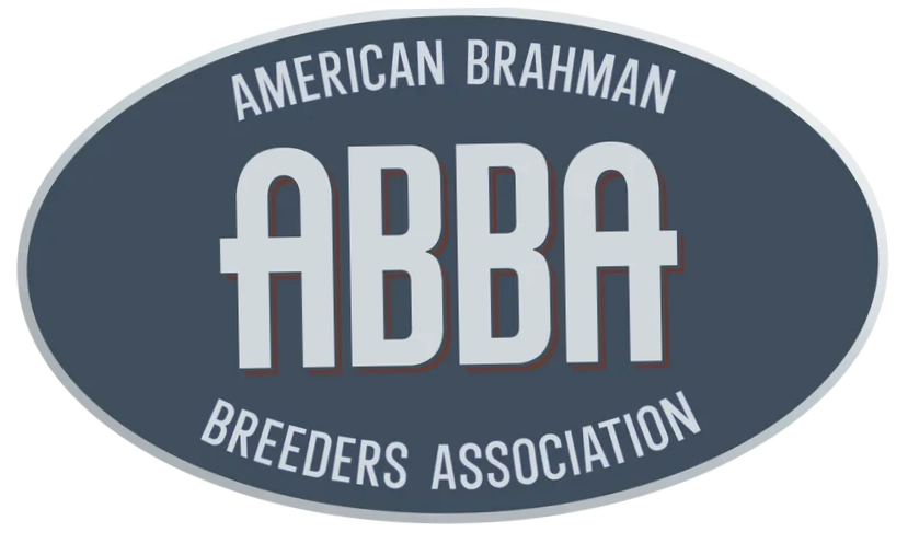 Brahman