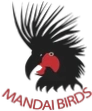 Mandai