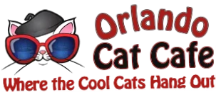 Orlando Cat Cafe