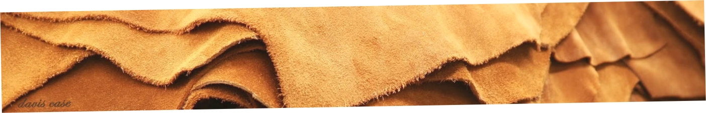 Shop Leather