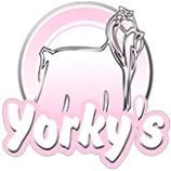 Yorky's