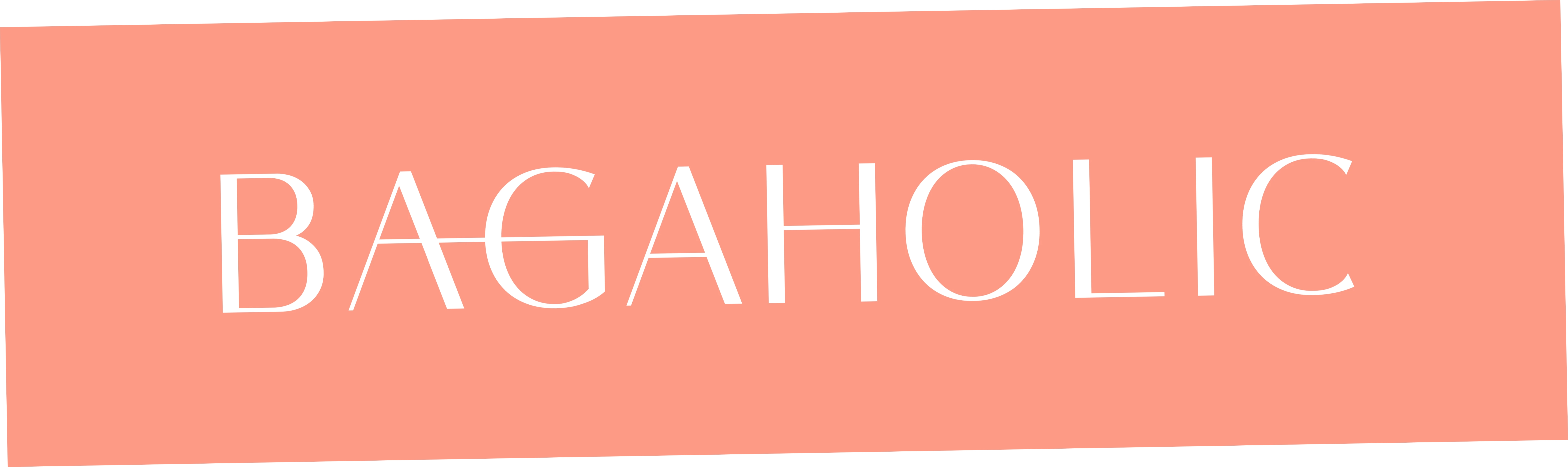 Bagaholic