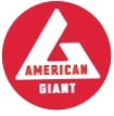 American Giant