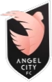 Angel City