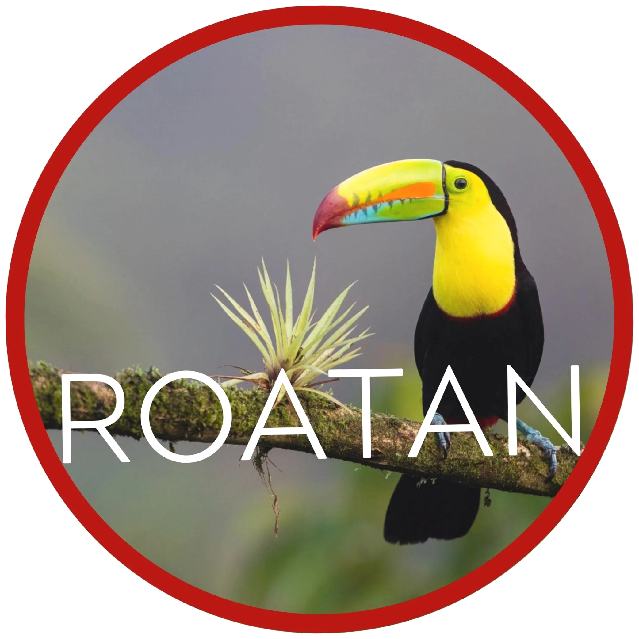 Roatan