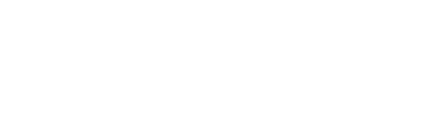 Veedub