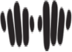 Khaadi