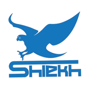 Shiekh Shoes
