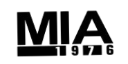 MIA Shoes