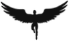 Icarus Footwear