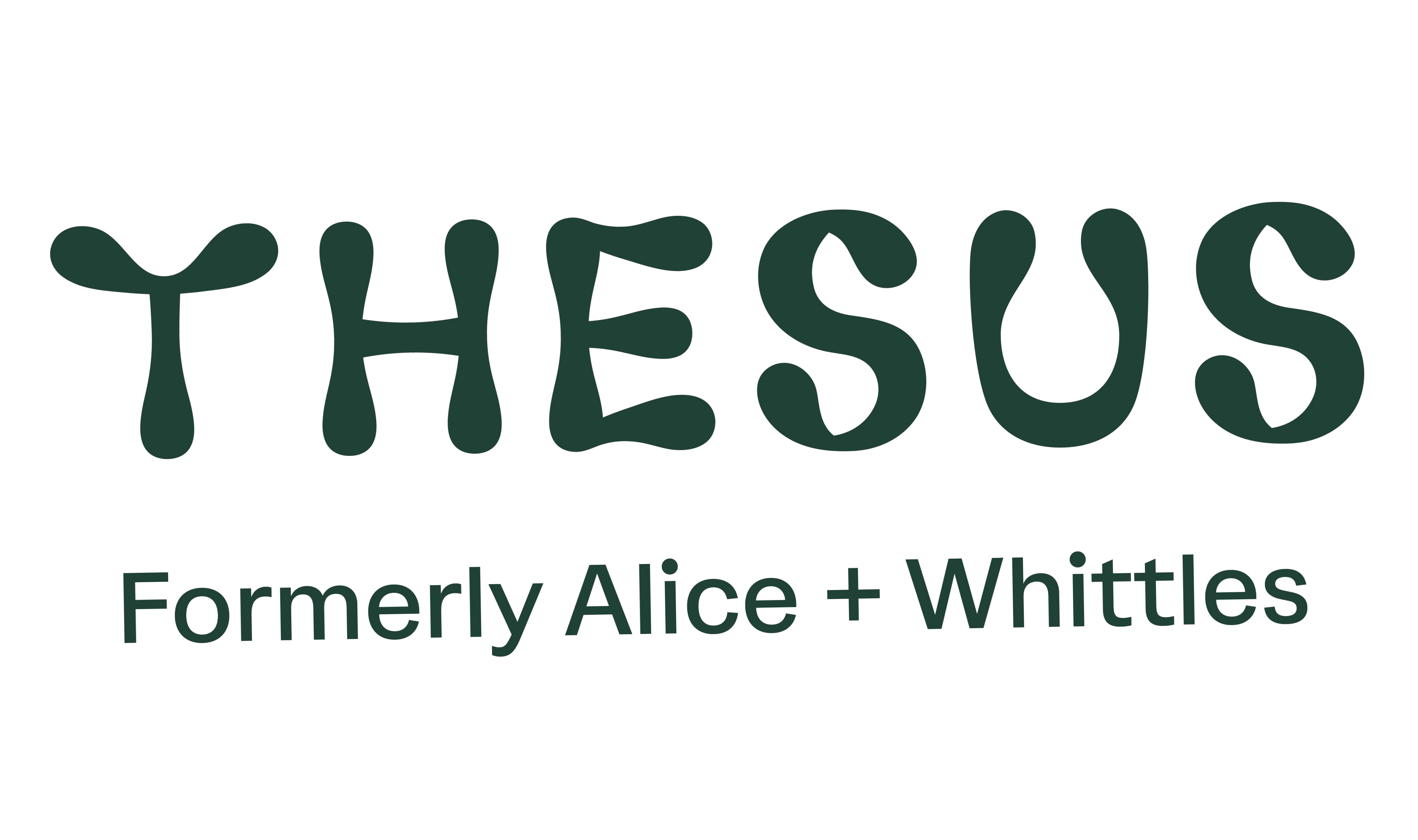 Thesus Outdoors