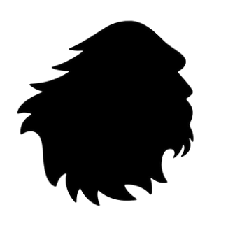 SATORISAN