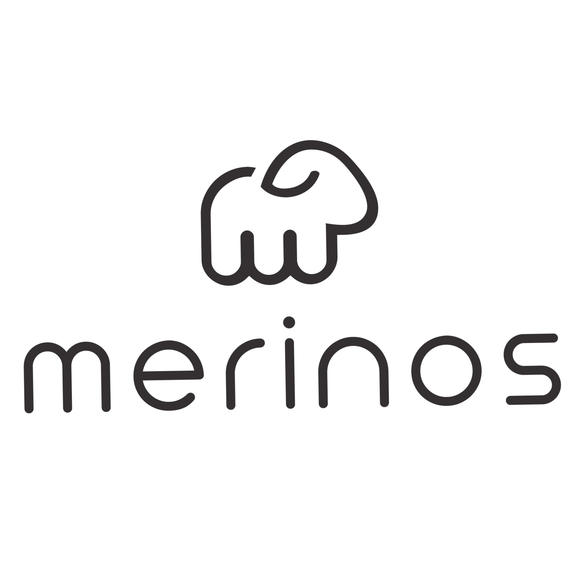 Merino Shoes
