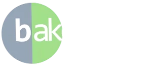 Bakers Shoes