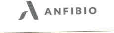 Anfibio Boots