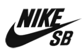 SB Dunk