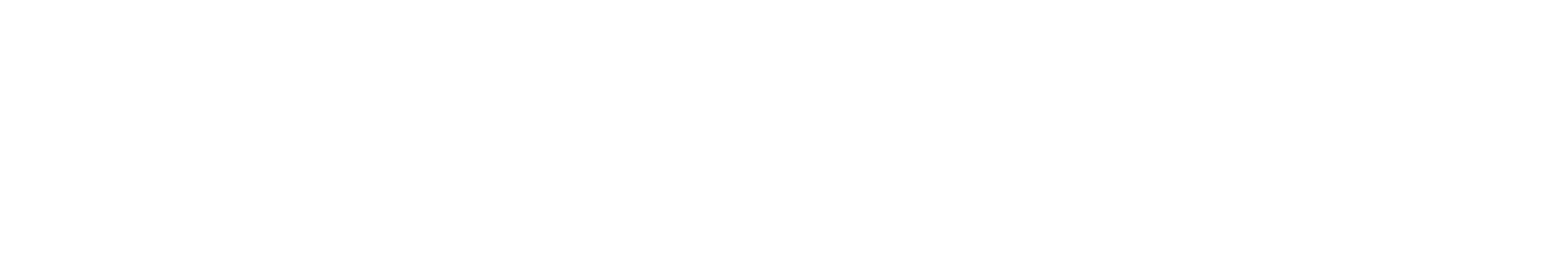 Timsneakers