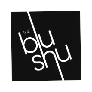 Blue Shoe USA
