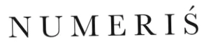 Numeris Footwear