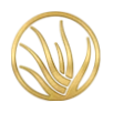 Lbri