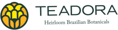 Teadora