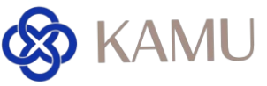 Kamu Labs