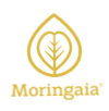 Moringaia