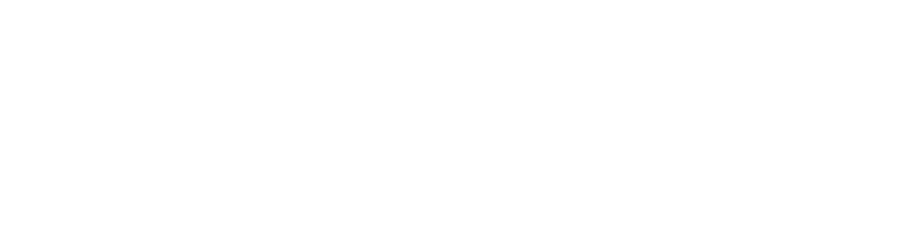 Omnia Brush