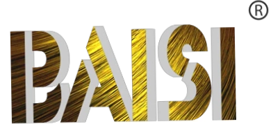 Baisi Hair