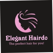 Elegant Hairdo