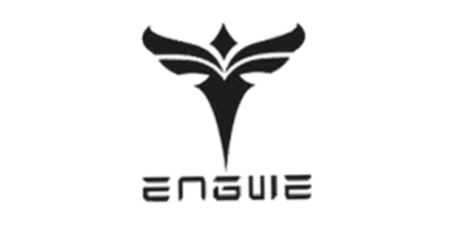 Engwe Bikes