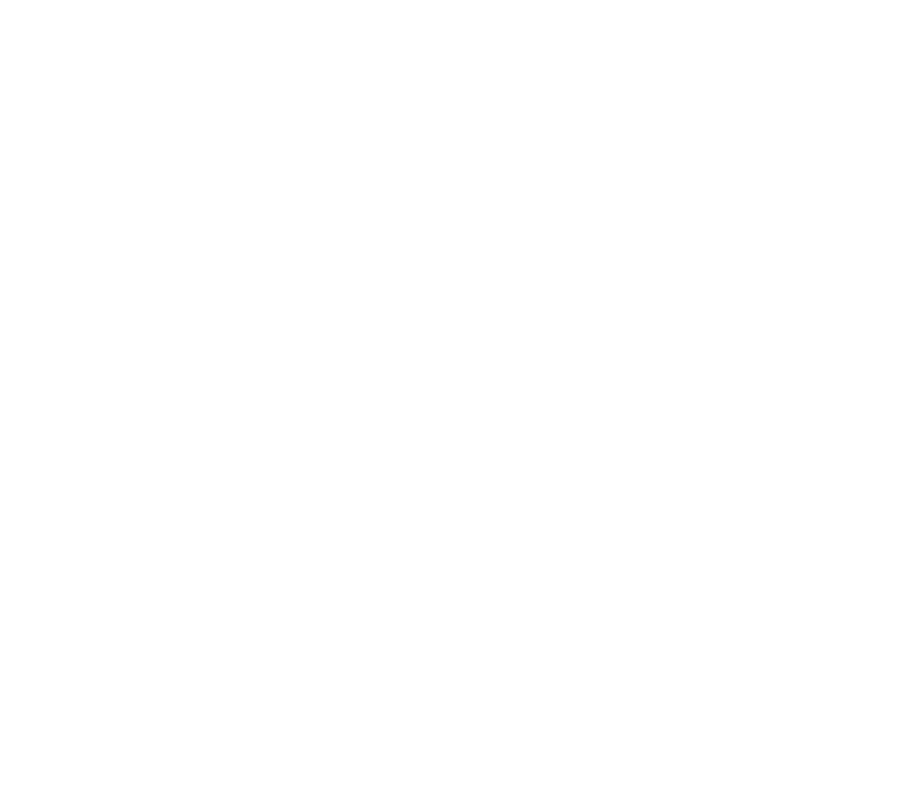 Butterfly Network