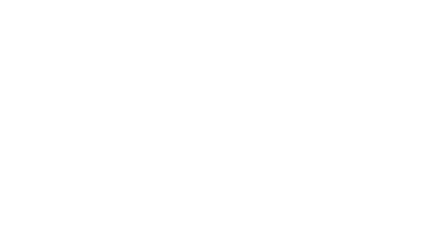 Limitless Labs