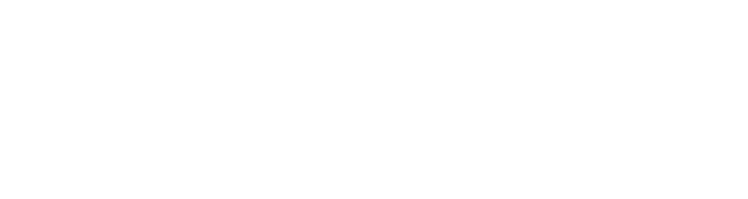 Steiner Electric