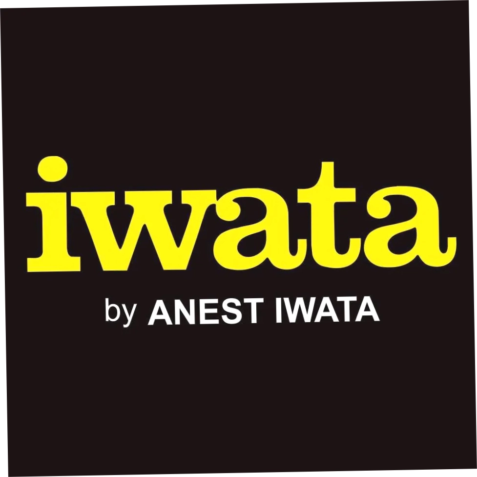 Iwata Airbrush
