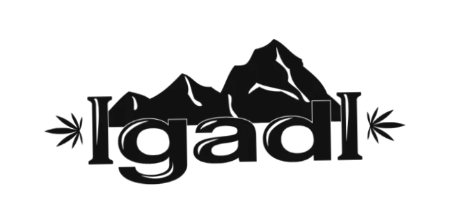 Igadi Daily