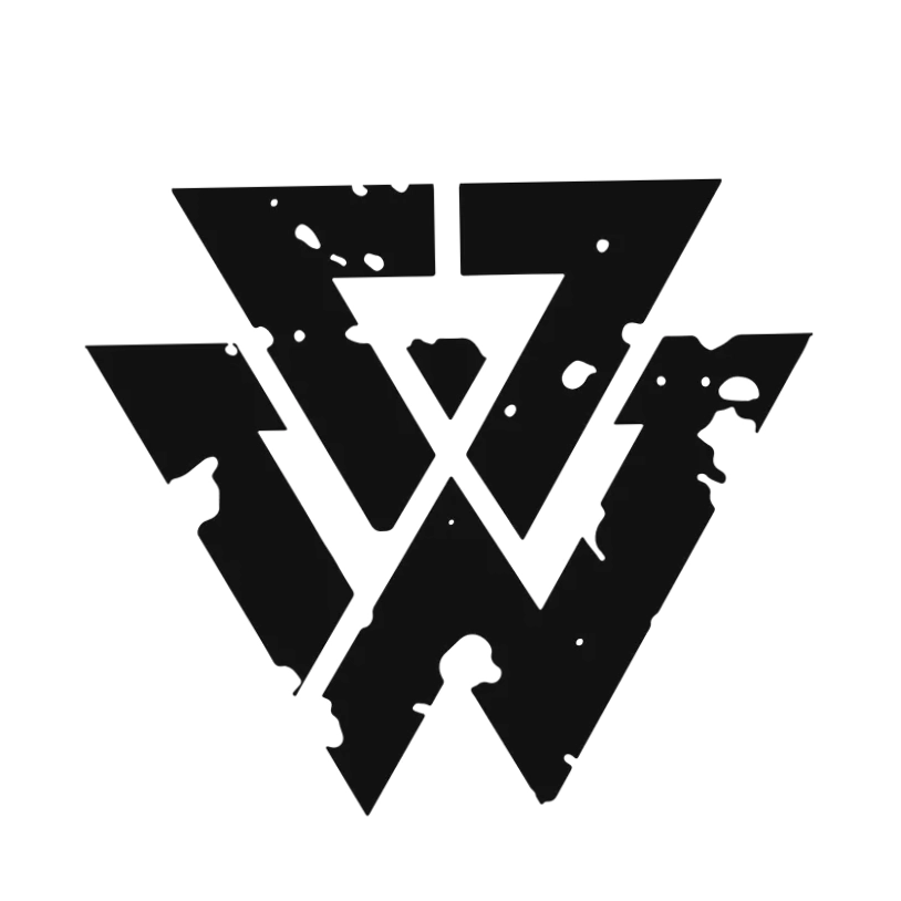 New World Viking