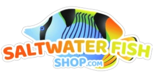 Saltwater Fish Shop