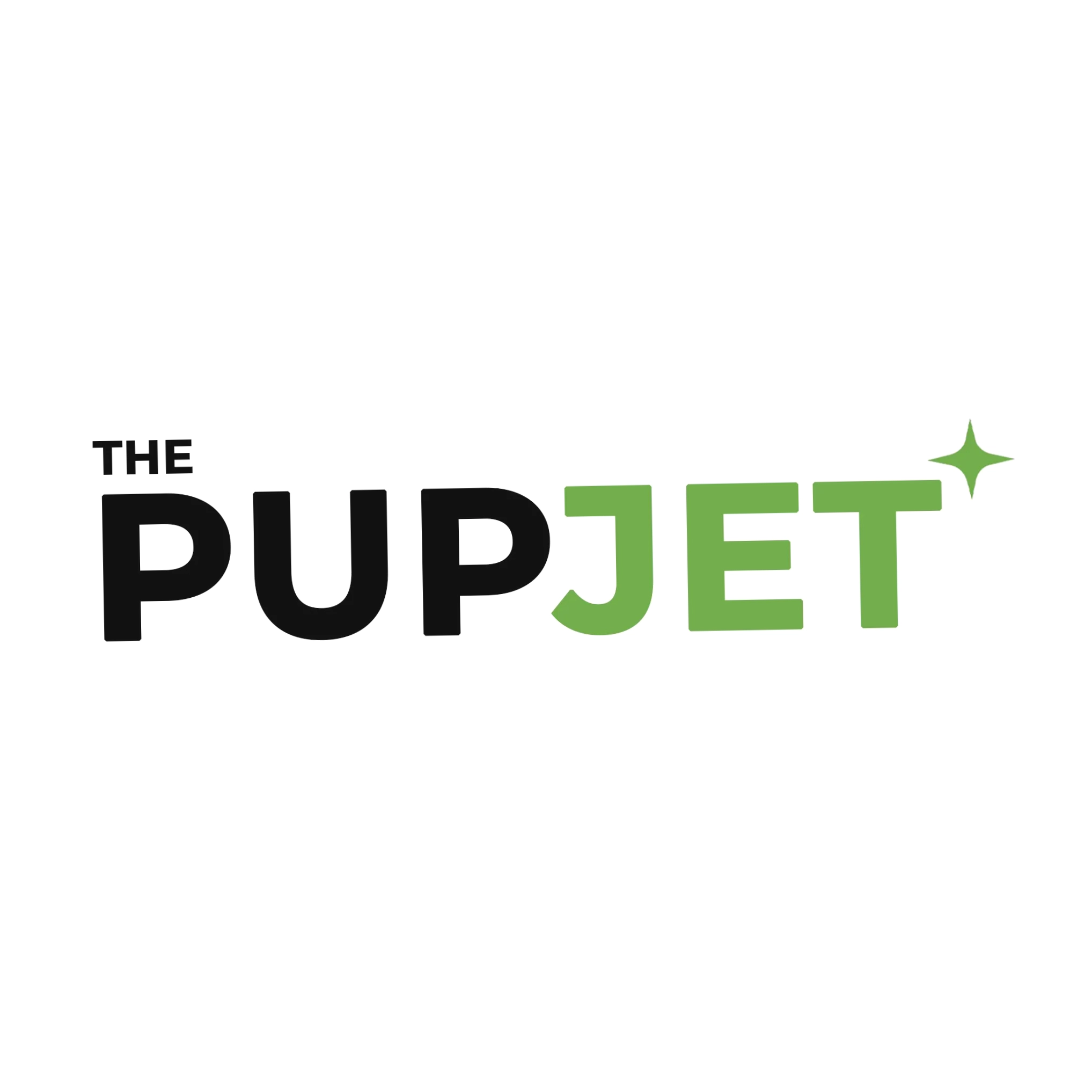 The Pup Jet