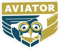 Aviator Harness