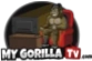 My Gorilla Tv