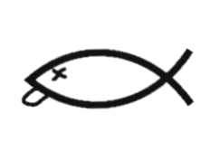StupidFish